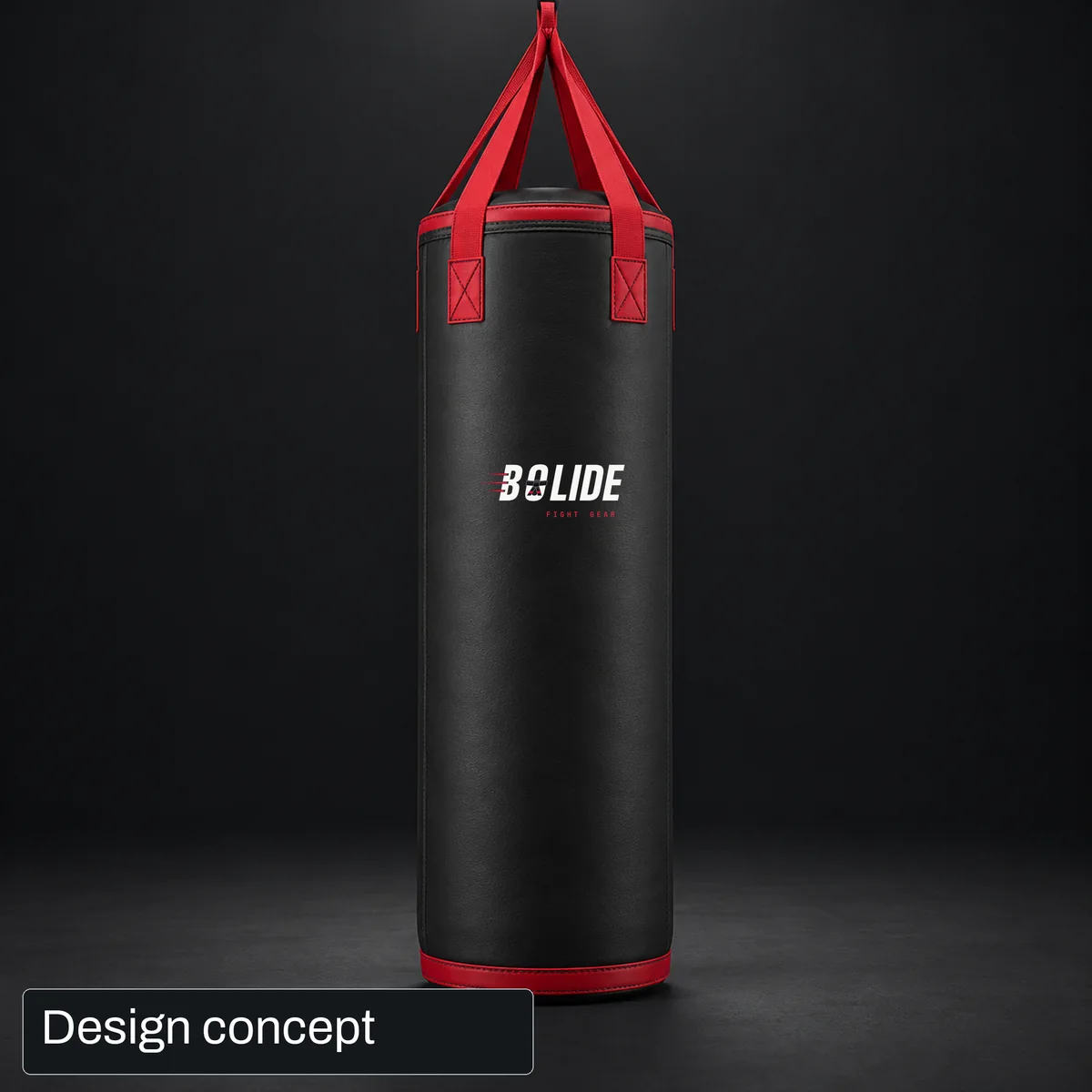 Design concept: Champion Punching bags